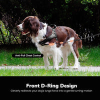 Didog No Pull Dog Harness for Large Dogs, Breathable Mesh Padded - Black / L: Chest 27-33", Fit 50-80 lbs - image 3