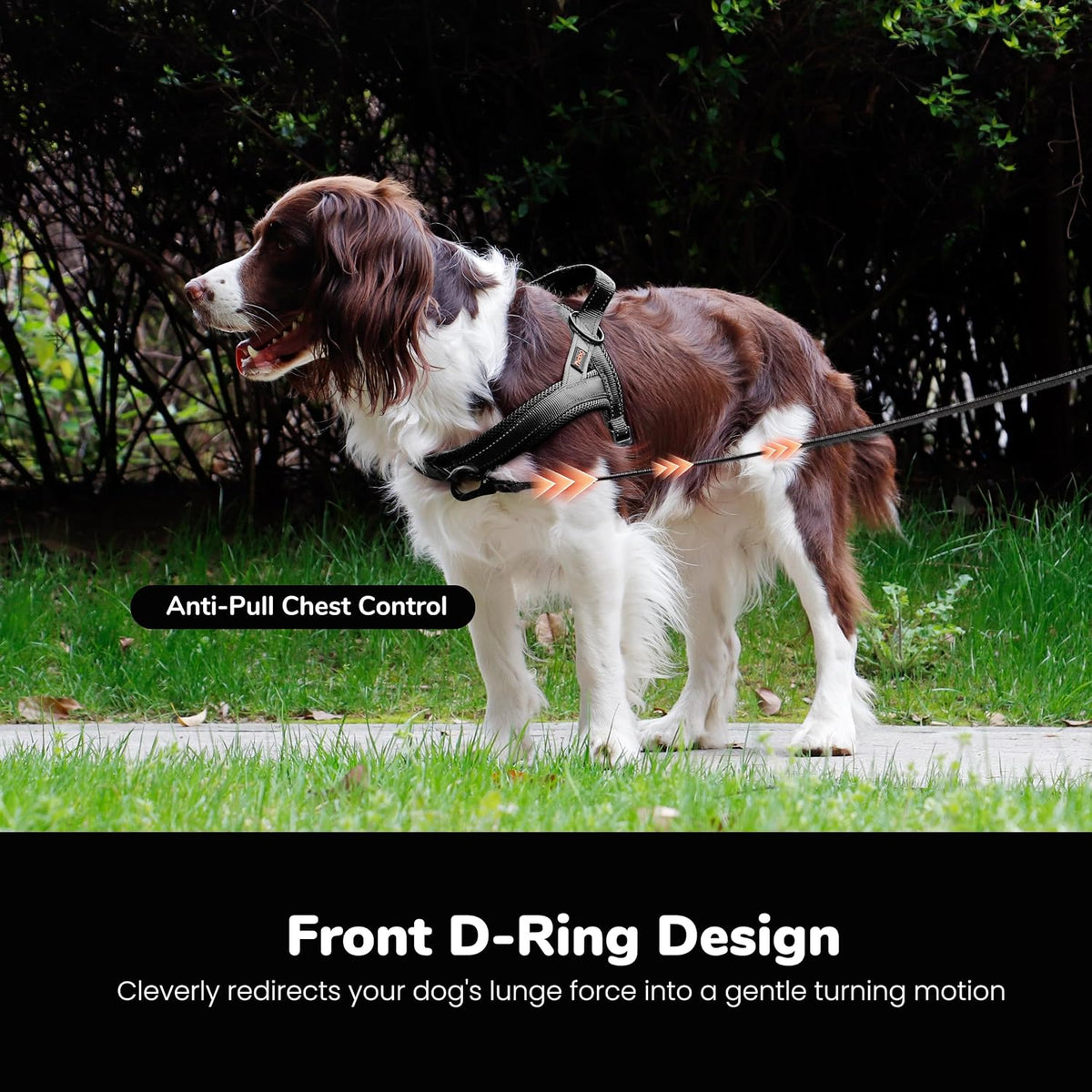 Didog No Pull Dog Harness for Large Dogs, Breathable Mesh Padded - Black / L: Chest 27-33", Fit 50-80 lbs - image 3