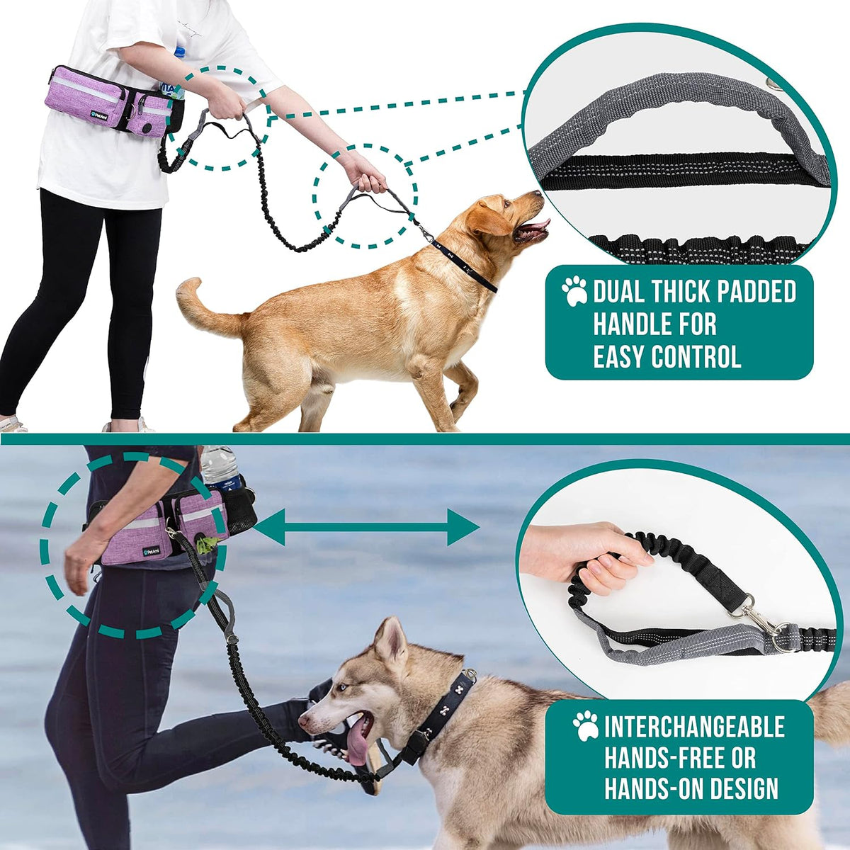 PetAmi Hands Free Dog Leash with Waist Running Belt Bag, Single – Essentials for Dogs - 1 Leash / Purple - image 3