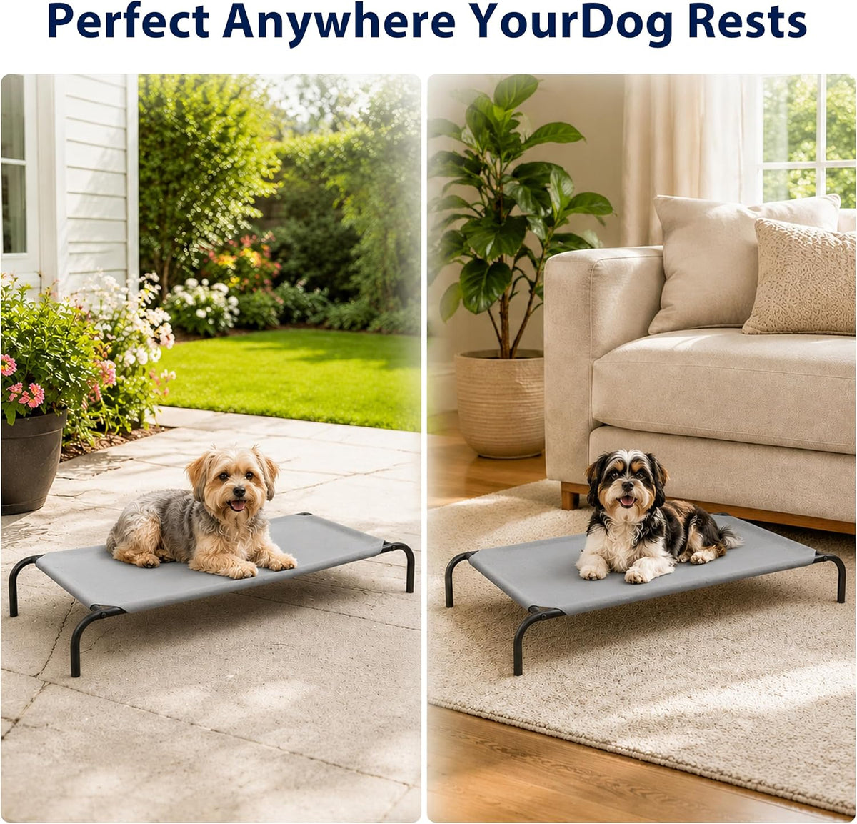 Raised Pet Cot for Small Pets – Essentials for Dogs - Small / Grey - image 4