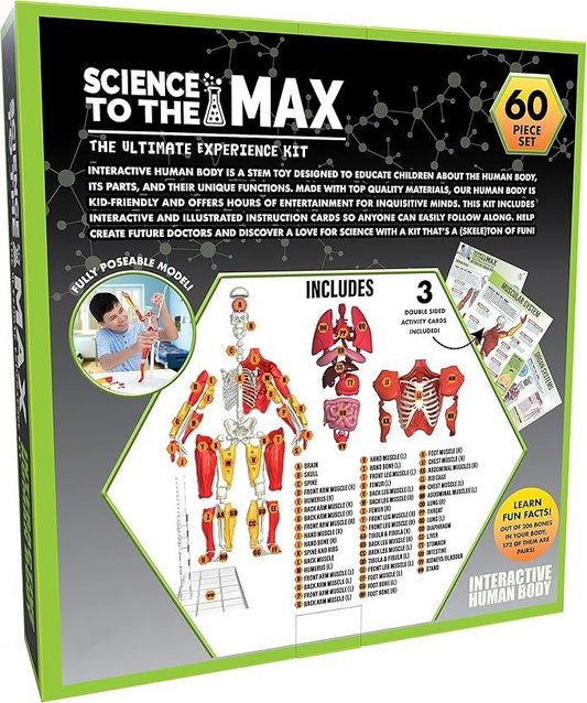 Science to The Max Interactive Human Body Fully Poseable Anatomy Figure - 14” Tall - BIG FRENCHIES