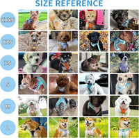 Breathable Dog Harness Small Sized and Leash Set - Turquoise-Pink / XXS(Chest: 10 - 11.5") - image 2