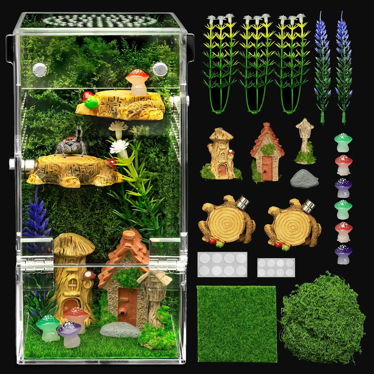 Jumping Spider Enclosure Starter Kit - Green / Small