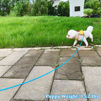 WYuZe 5ft Puppy Leash for Small Dogs Cats - Blue / 10 FT (3~26 lbs) - image 4