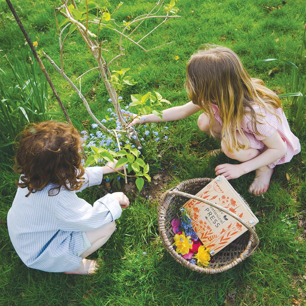 Tender Leaf Toys My Botanical Press, 8.3 inch flower press with 10 layers for kids - view 4