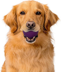 Playology Durable Large Dual Layer Dog Ball, Peanut Butter Scent - Jumbo / Bacon - image 2
