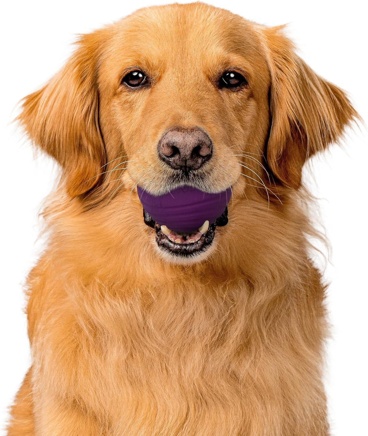 Playology Durable Large Dual Layer Dog Ball, Peanut Butter Scent - Jumbo / Bacon - image 2