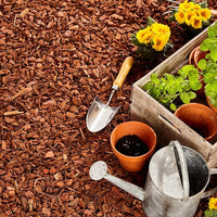 Premium Pine Bark Nuggets – Pine Bark Mulch for Gardens, Landscaping, Potted Plants, and Wood Chips for Garden Beds (0.3 CF - 8 L - 9 QTS)