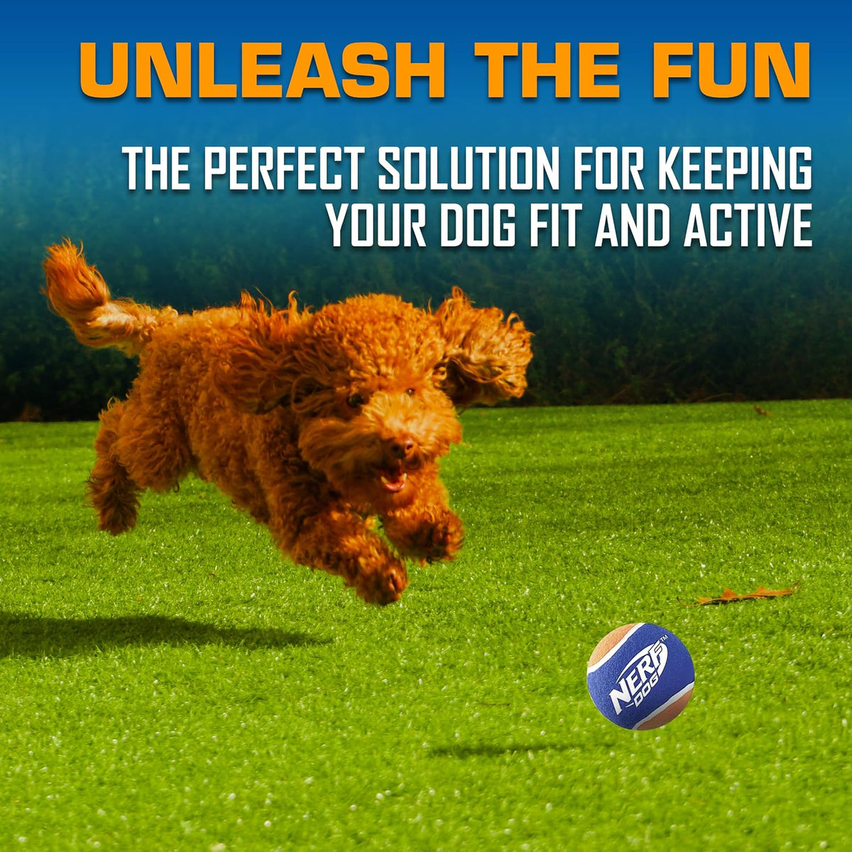 Nerf Dog Tennis Ball Blaster Dog Toy – Essentials for Dogs - 16 in Compact Blaster with 3 Balls / Dog - image 3