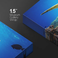 wall26 Canvas Print Wall Art Vibrant Ocean Underwater Swimming Turtle Nature Animals Photography Realism Rustic Scenic Landscape Wilderness Earth Colorful for Living Room, Bedroom, Office - 32"x48"