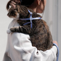 Cat Harness and Leash 2-in-1 - Blurple - image 4