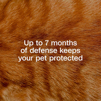 Adams Plus Flea & Tick Collar for Cats Water-Resistant Up to 7 Months Protection 3PCK