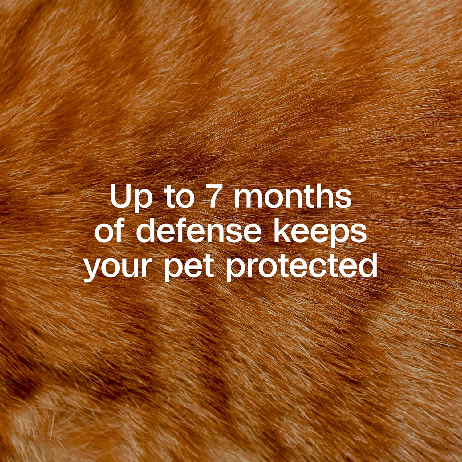 Adams Plus Flea & Tick Collar for Cats Water-Resistant Up to 7 Months Protection 3PCK