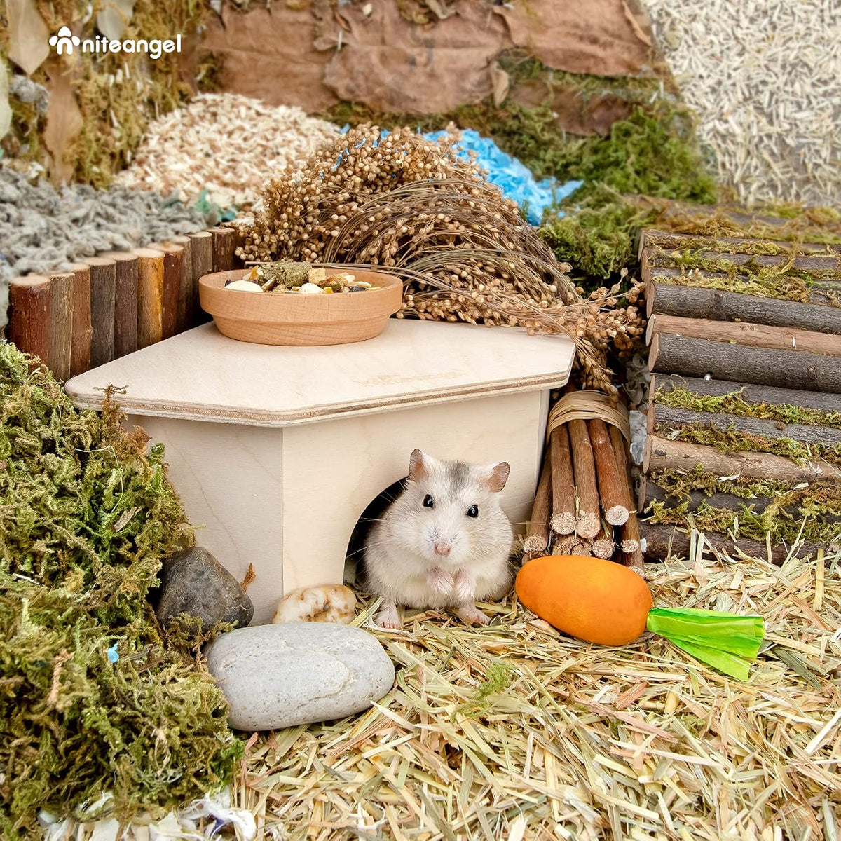 Niteangel Birch Chamber-Maze Hamster Hideout - 1 Chamber Hideout-Small - image 4