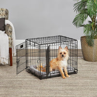 LifeStages by MidWest 36-Inch Double Door Crate, M-L Breeds - Double Door / Fits 24-inch Crate - image 2