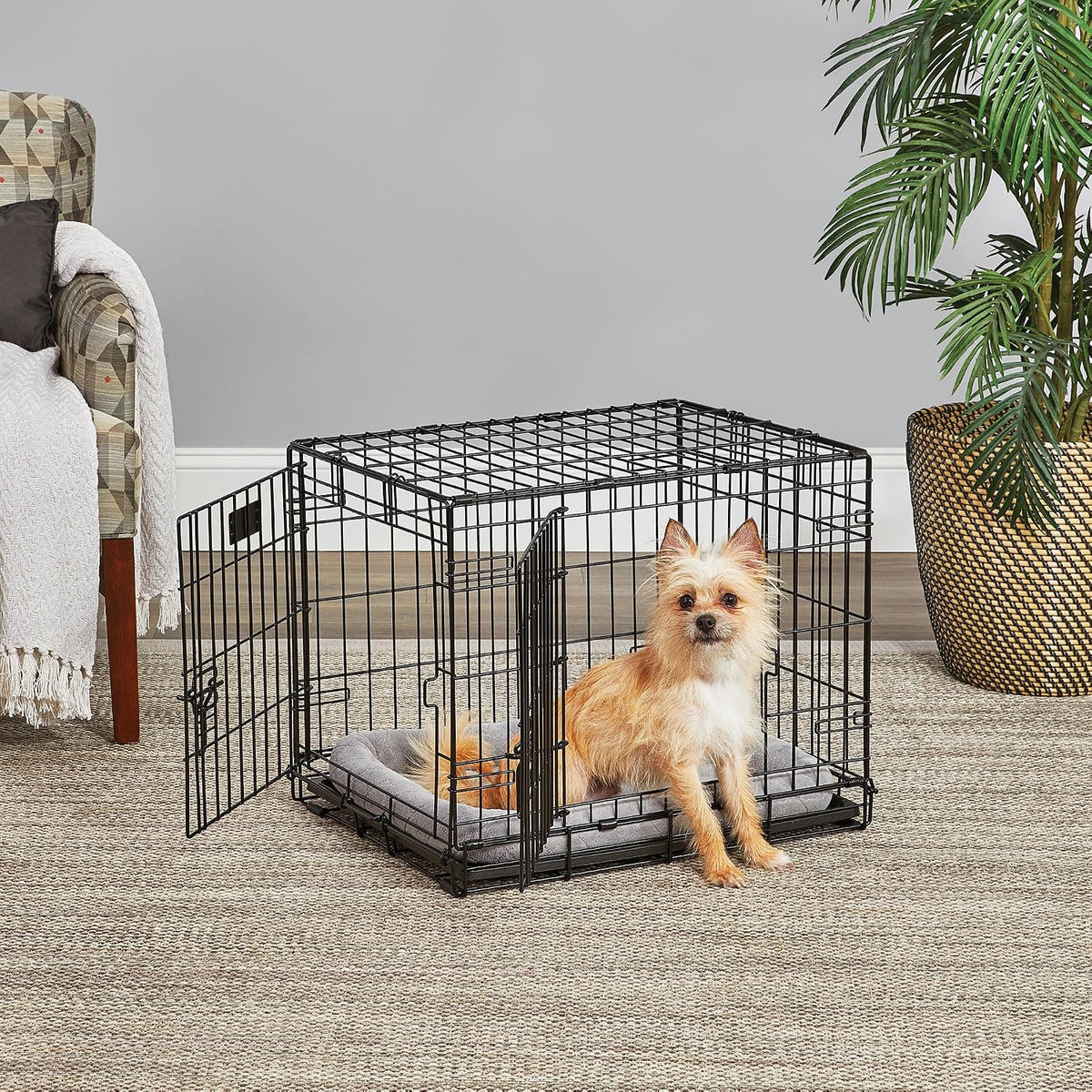 LifeStages by MidWest 36-Inch Double Door Crate, M-L Breeds - Double Door / Fits 24-inch Crate - image 2