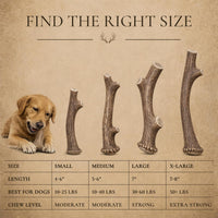 WhiteTail Naturals 12 Pack Whole Deer Antlers for Petite Dogs Up - Small (Pack of 3) - image 3