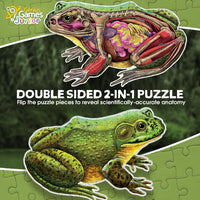 Genius Games shark anatomy floor puzzle showing a great white shark and its anatomy - view 14
