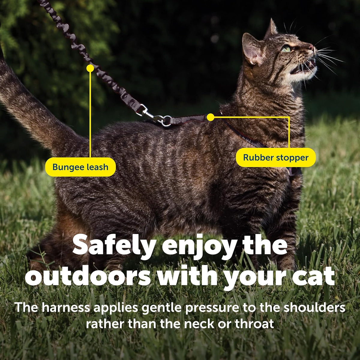 PetSafe Come With Me Kitty Harness and Bungee Cat Leash - Large (Pack of 1) / Black - image 4
