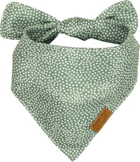 Remy+Roo Katherine Spring Dog Bandanas Large, Floral - Small - image 4