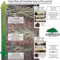 Sherwood Pet Health Adult Guinea Pig Food Measured Timothy Pellet (10 Pound) Hay-Based, Grain-Free, Soy-Free for Better Digestion