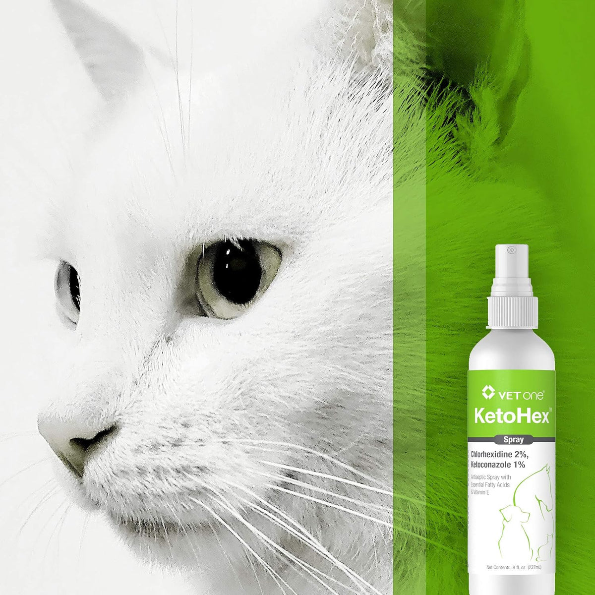 VetOne – Essentials for Dogs - image 2