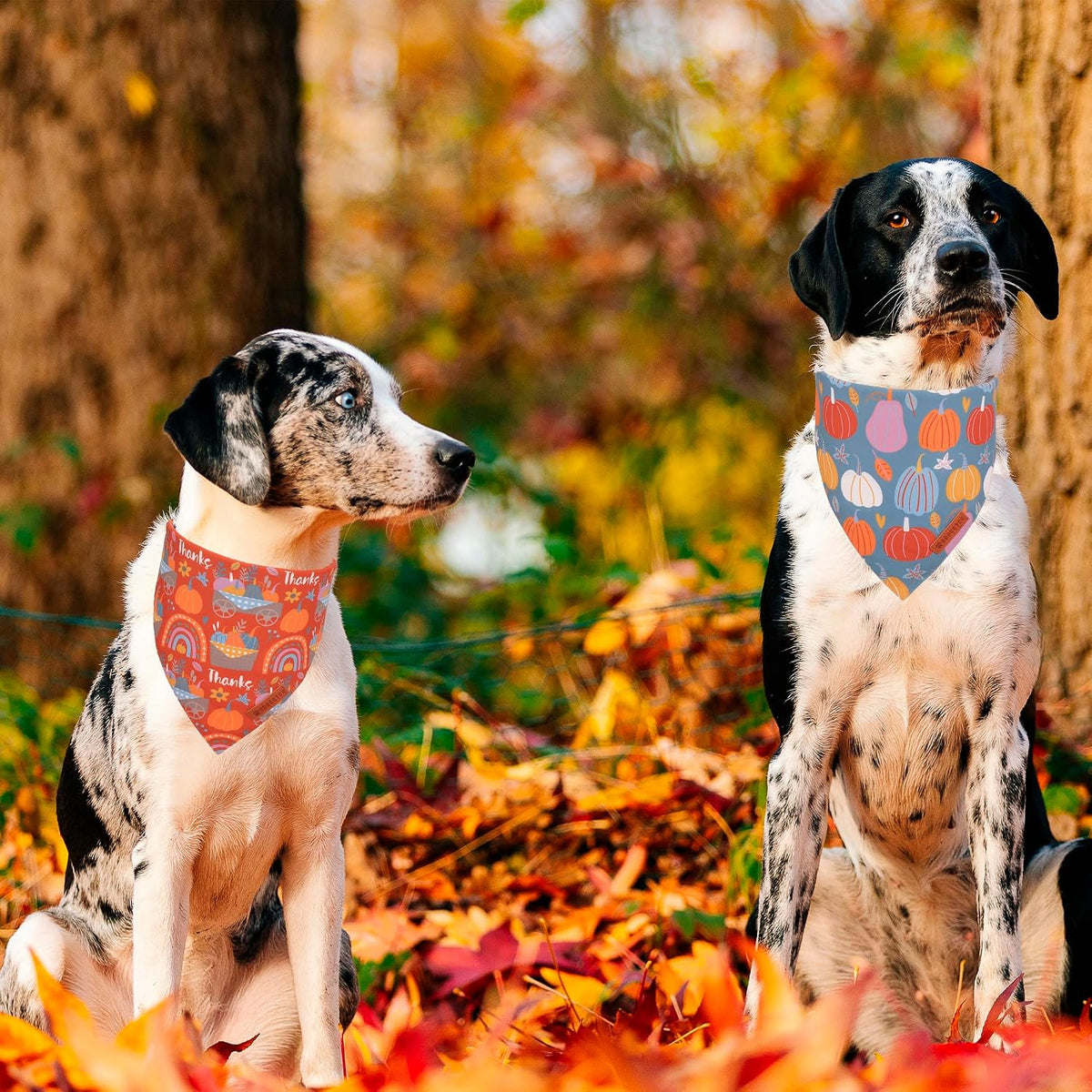 ADOGGYGO Pink Halloween Dog Bandanas Girl - X-Large / Thanksgiving - image 3