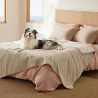 Bedsure Waterproof Dog Blankets for Small Dogs Soft Cat Blanket Warm - Twin(60x80") / Cream