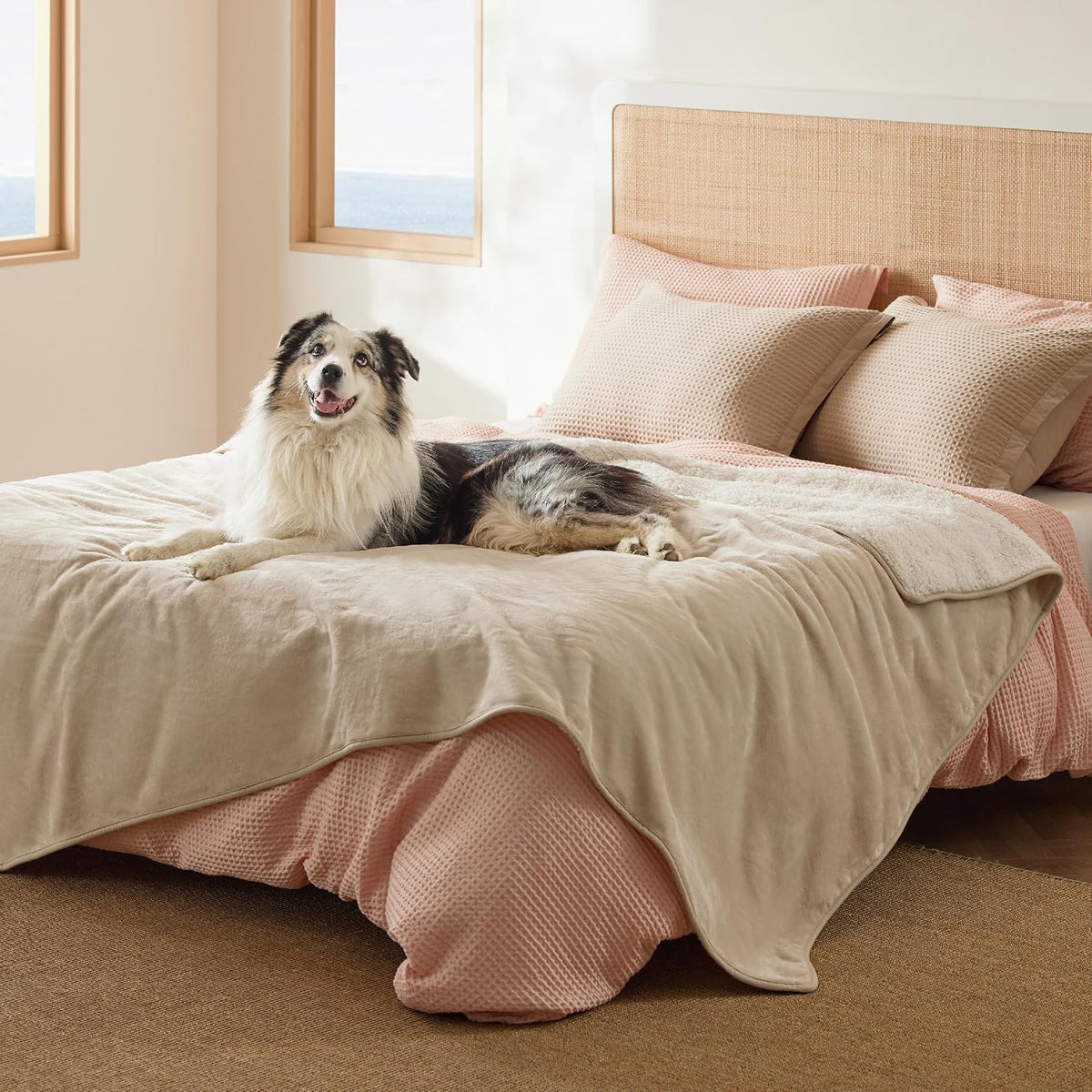 Bedsure Waterproof Dog Blankets for Small Dogs Soft Cat Blanket Warm - Twin(60x80") / Cream