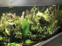 Aquarium Decorations 3Pcs Fish Tank Artificial Green Water Plants - 11", 5 Pcs, Green - image 4