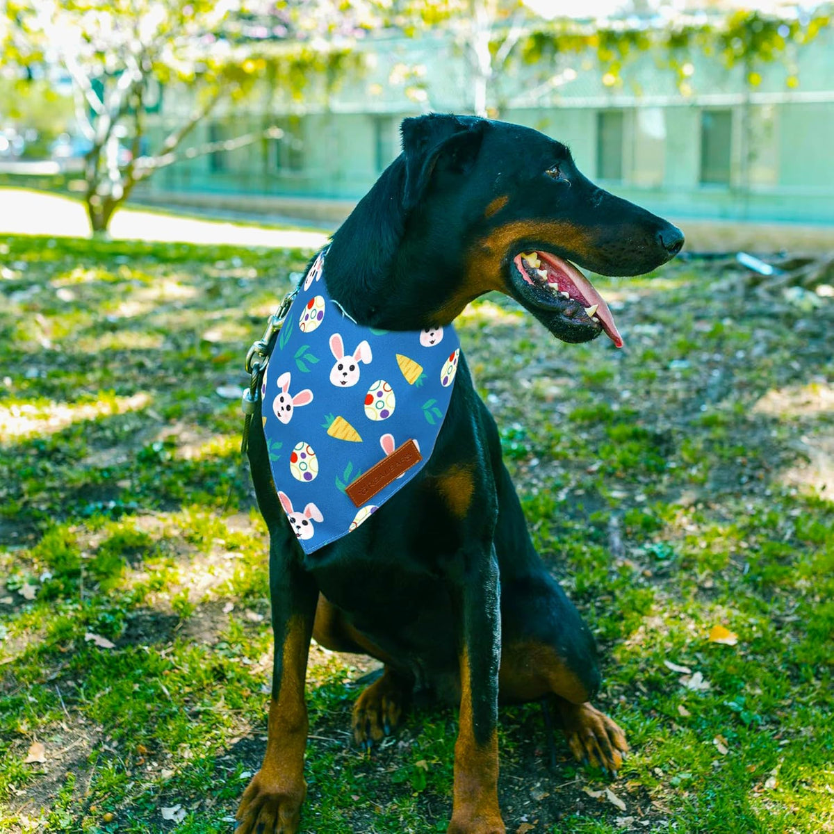 Fall Dog Bandanas 2 Pack, Orange Plaid Pet Scarf for Boy and Girl, Premium Durable Fabric, Holiday - Easter 2 / X-Large - image 3