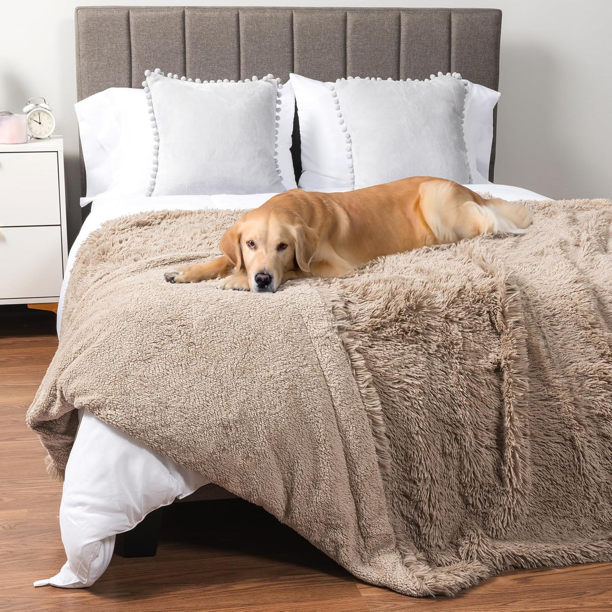 PetAmi Waterproof Dog Blanket for Couch Protector Pet Throw - Taupe / Queen (90x90)