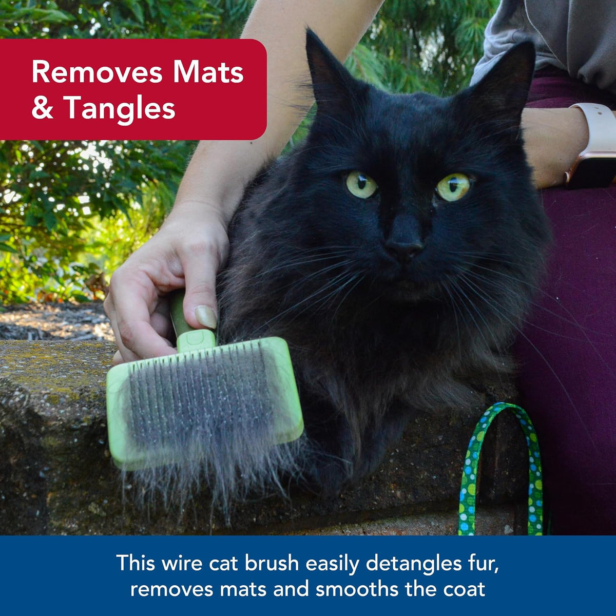Coastal Pet Safari Cat Self Cleaning Slicker Brush - image 4