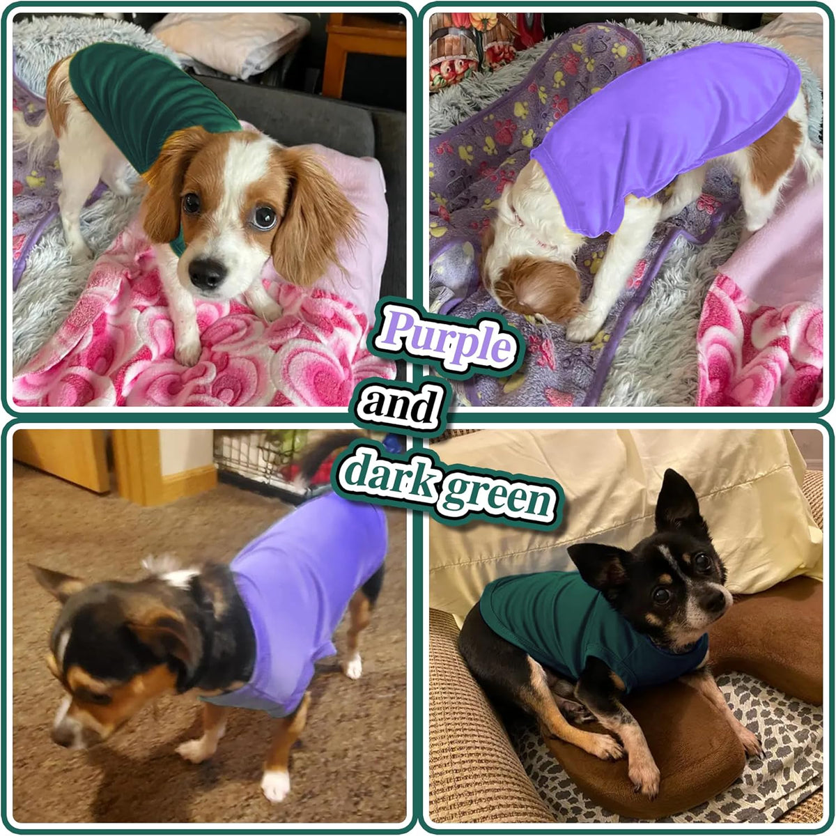 2 Pack Solid Color Dog Shirts, Lightweight, Quick Dry - Green,Purple / M (16'' Chest) - image 2