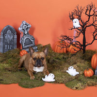 Fringe Studio, Creepy CRAWLY Spiders - Ghost - image 3