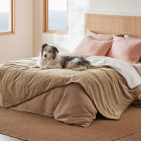 Bedsure Waterproof Dog Blankets for Small Dogs Soft Cat Blanket Warm - Twin(60x80") / Camel