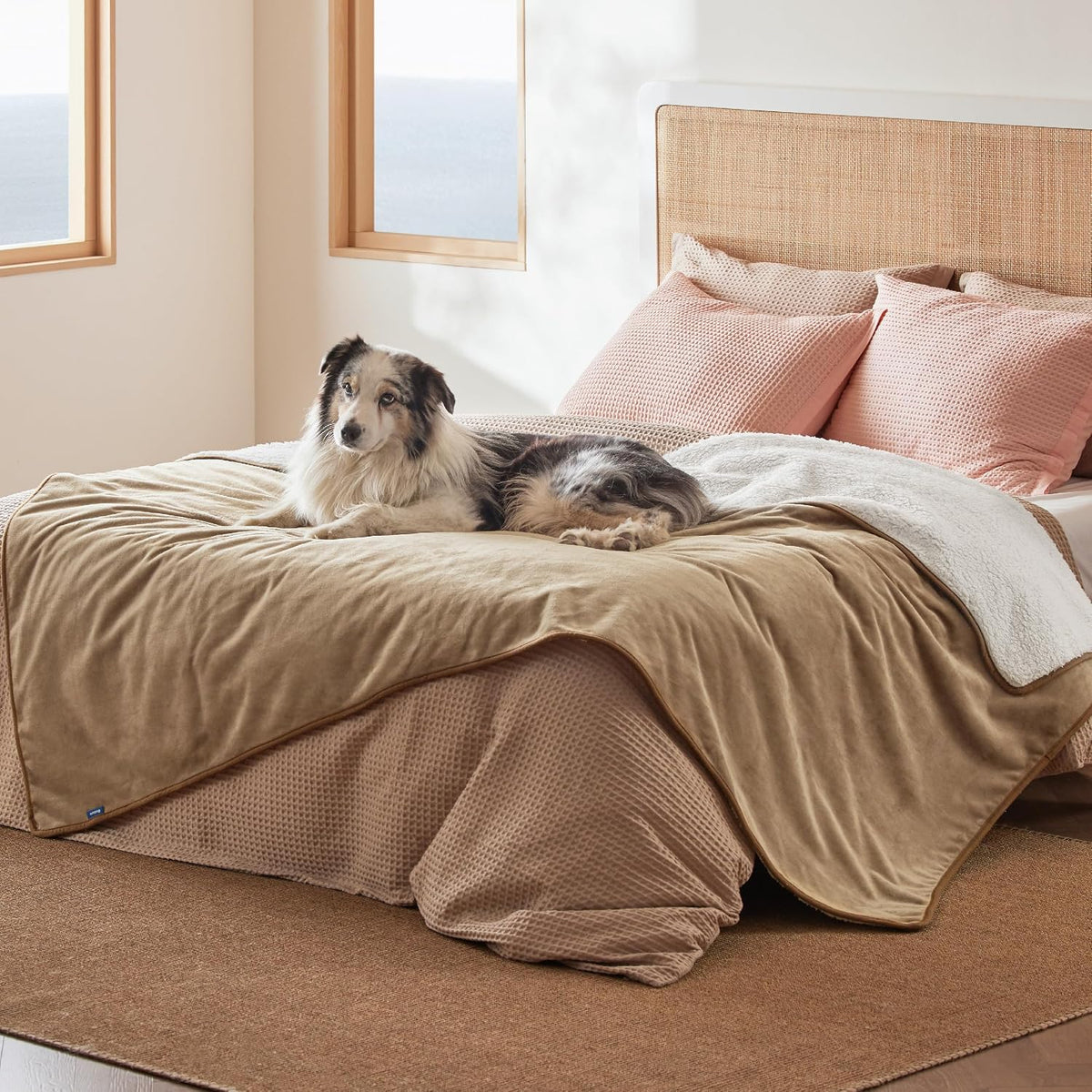 Bedsure Waterproof Dog Blankets for Small Dogs Soft Cat Blanket Warm - Twin(60x80") / Camel