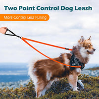 Two Point Control Dog Leash, No Tangle Training Walking Leashes – Essentials for Dogs - Orange - image 2