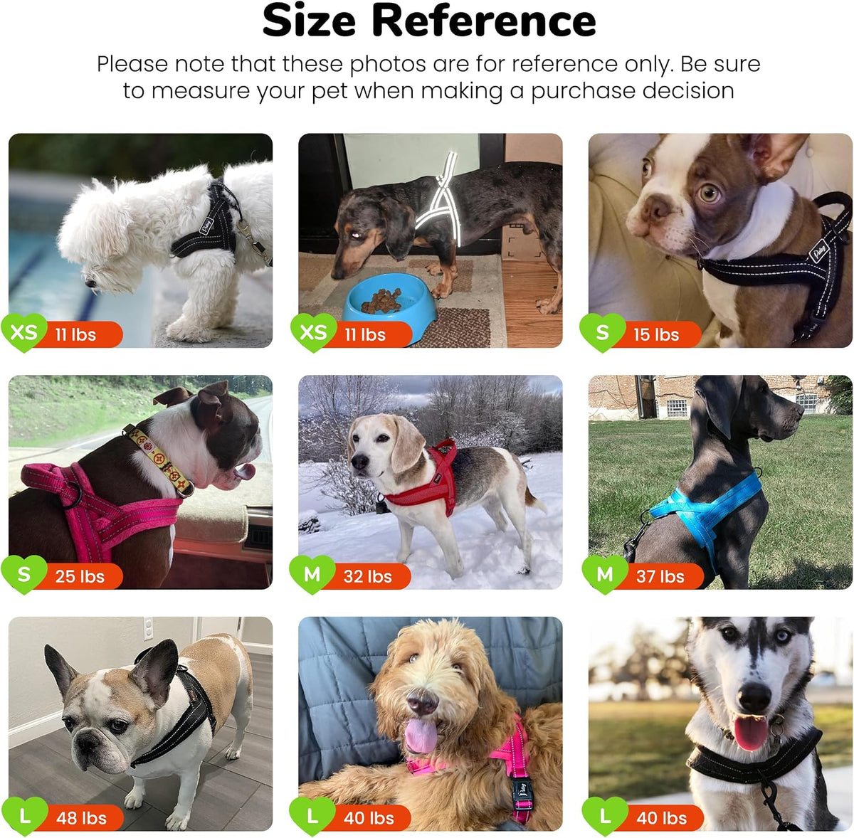 Didog No Pull Dog Harness for Large Dogs, Breathable Mesh Padded - Blue / XS: Chest 15-19", Fit 9-18 lbs - image 3