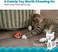 Catstages OrkaKat Wiggle Worm Dental Cat Chew Toy with Catnip - Pretzel / One Size (Pack of 1) - image 2
