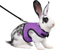 Niteangel Adjustable Soft Harness with Elastic Leash for Rabbits – Essentials for Small Pets - XL / Purple