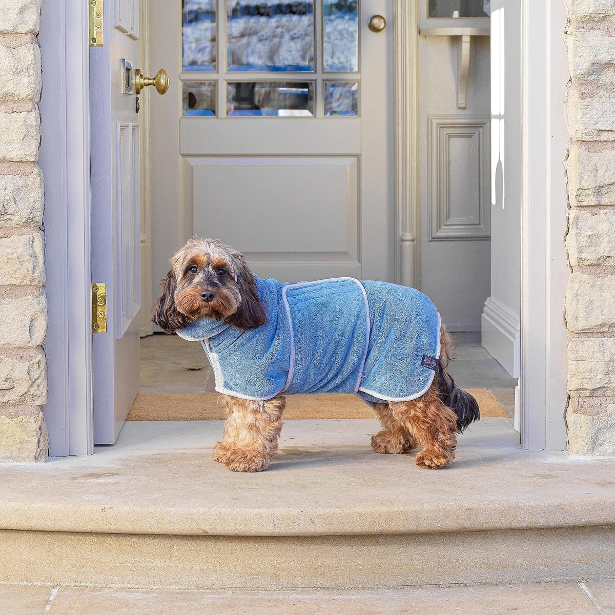 Lucky Pooch Dog Robe, Luxurious Dog Bathrobe - XS / Petrol Blue - image 2