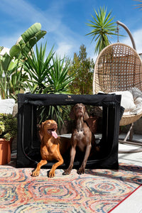Noah & Paw XXL Collapsible Dog Crate, 42" - Black / 42.0"L x 31.0"W x 31.0"H - image 2