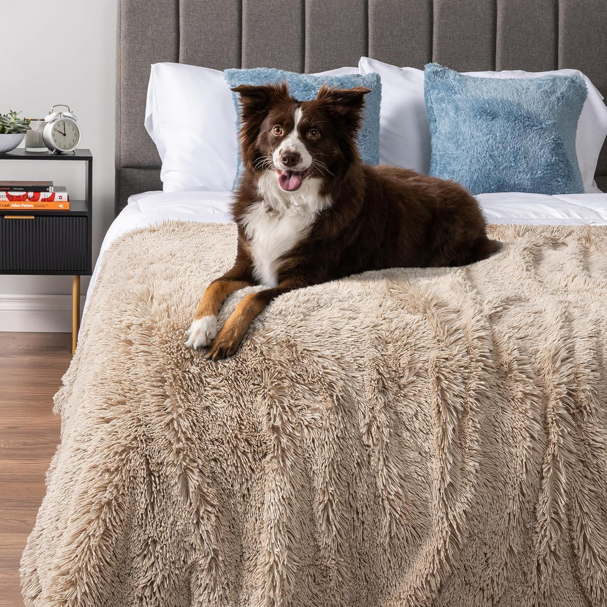 PetAmi Waterproof Dog Blanket for Couch Protector Pet Throw - Taupe / X-large (60x80) - image 4