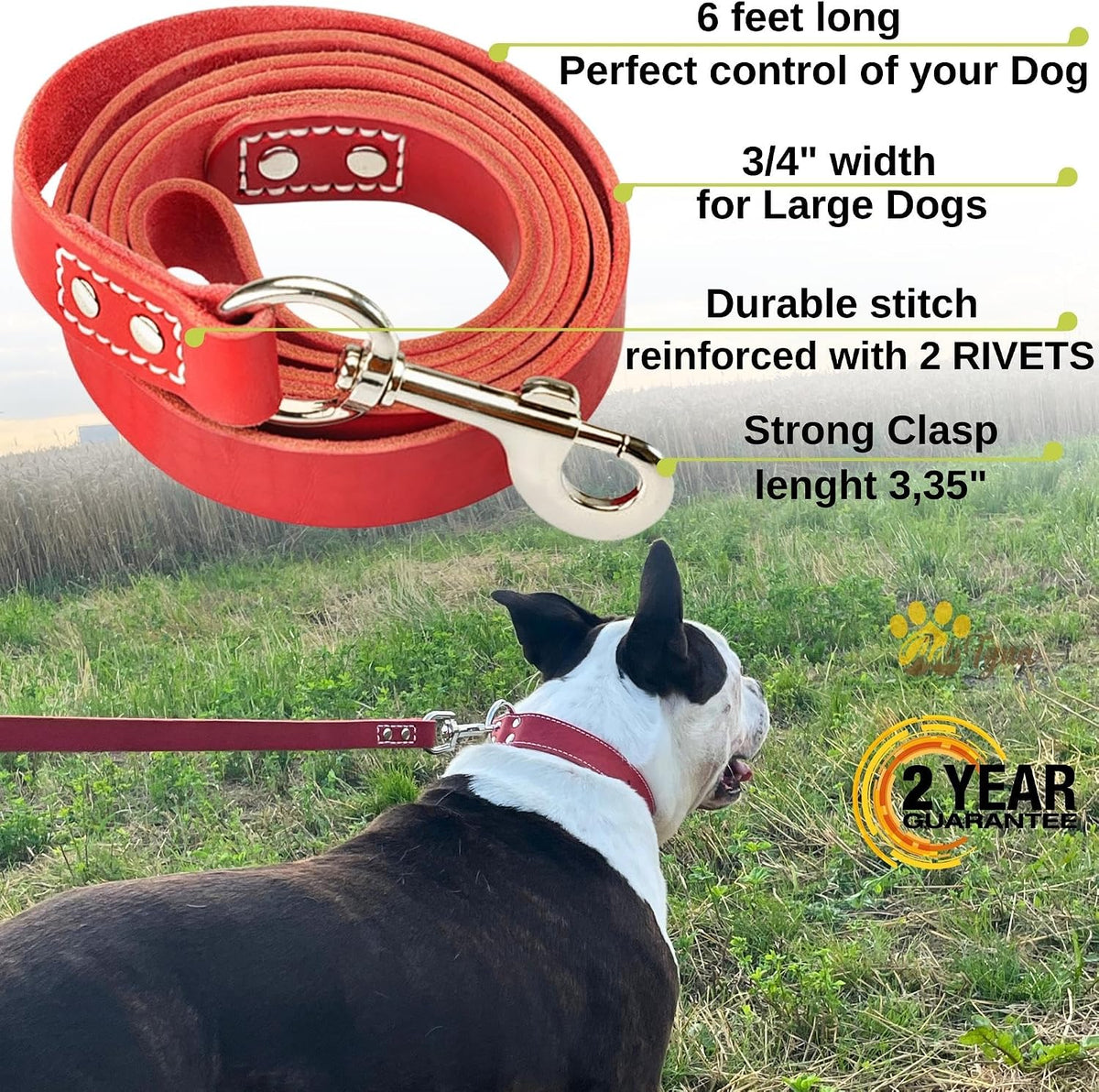 ADITYNA Leather Dog Leash for Large, and Small Dogs - L - 6 ft x 3/4 inch / Red - image 2