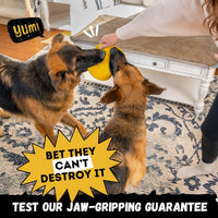 "Indestructible Dog Disc, Lifetime Replacement - image 4