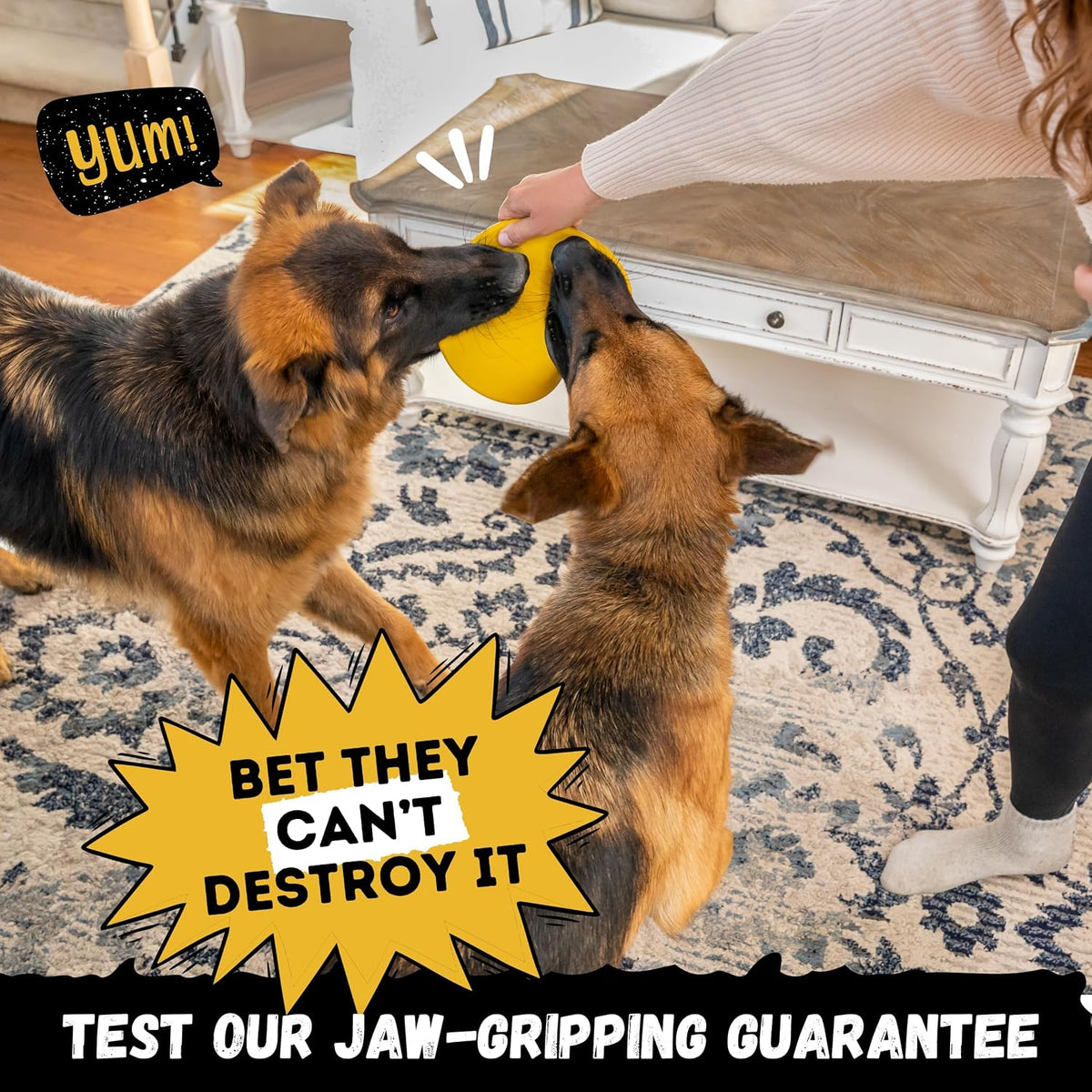 "Indestructible Dog Disc, Lifetime Replacement - image 4