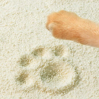 Tofu Cat Litter Natural Clumping Tofu Cat Litter 5.5lb/88oz 5 Scents (Watermelon + Wonder Litter, 2 Pack)