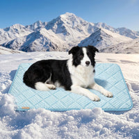 Waterproof Cooling Mat for Large Dogs 28x41 - Light Blue / 23x35