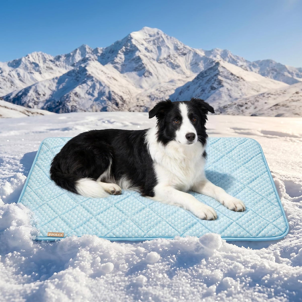 Waterproof Cooling Mat for Large Dogs 28x41 - Light Blue / 23x35